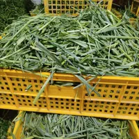 سبزی پاک شده وشسته شده|خوردنی و آشامیدنی|کرج, آق تپه|دیوار