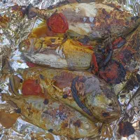 ماهی تازه|ماهی|میناب, |دیوار