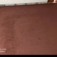 موکت