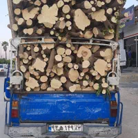 خریدارچوب وبریدن درخت|خدمات باغبانی و درختکاری|بندرعباس, |دیوار