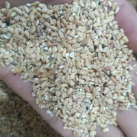 گندم شکسته|خوردنی و آشامیدنی|بندر ماهشهر, |دیوار