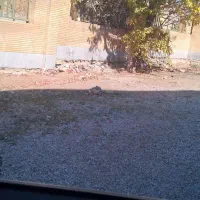 جذب نیروی کار در کارخونه