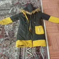 پالتو نو|لباس|گالیکش, |دیوار