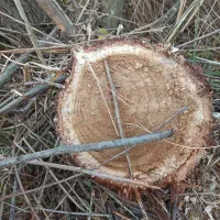 اره شارژی|ابزارآلات|خدا آفرین, |دیوار