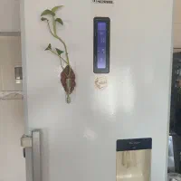 یخچال فریزر الکترواستیل|یخچال و فریزر|گنبد کاووس, |دیوار