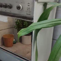 گاز فردار|اجاق گاز و لوازم برقی پختوپز|یزد, |دیوار