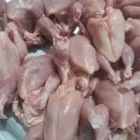 غذای سگ و گربه مرغ کامل دل وجکروسنگدان