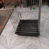 قفس|لوازم جانبی حیوانات|رشت, نظری|دیوار