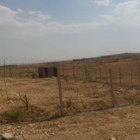 باغ در بیلوردی