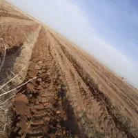 زمین ۳ هزار متری