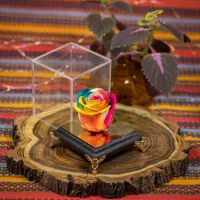 باکس گل جاودان مدل پینار