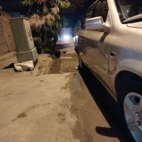 سمند معمولی