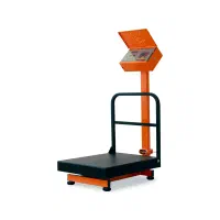 باسکول 300 کیلویی