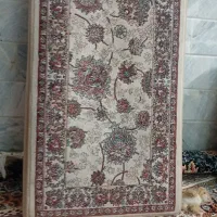 پشتی سالم