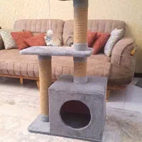 خانه گربه اسکرچر|لوازم جانبی حیوانات|مشهد, نیروی هوایی|دیوار