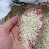 برنج خوشپخت آمل