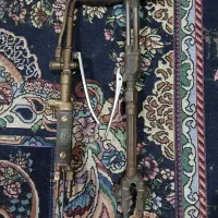 ۲عدس برنال سالم