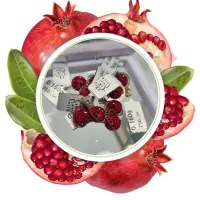 گوشواره و پلاک های خوشگلمون