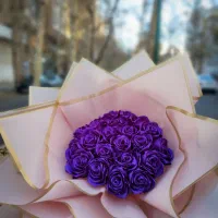 گل ربانی|گل و گیاه طبیعی|کرج, برغان|دیوار