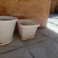 گلدون سالم فروشی