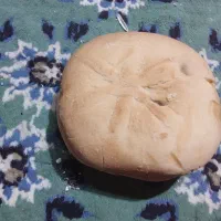 فروش کلوچه خشک برای خوراک دام و طیور