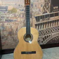 گیتار سوزوکی