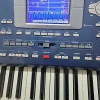 ارگ Pa800|پیانو، کیبورد، آکاردئون|بناب, |دیوار