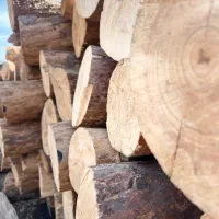 چوب تخته بنایی کاج راش روس گردو چنار لمبه ترموود|مصالح و تجهیزات ساختمان|شهریار, شهرک وائین|دیوار