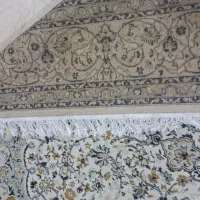 فرش ۹ متری|فرش|بابلسر, |دیوار