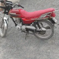 فروش ومعاوضه بچه شکاری باهوند شکاری