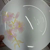 ظروف آرکوپال ۳طرح قیمت مناسب( فروش آنلاین)