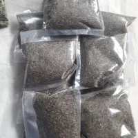 زیره کوهی وآنوخ یا چای کوهی و آویشن از کوهای بینال|گل و گیاه طبیعی|مشهد, شهرک ابوذر|دیوار