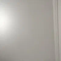 پالاز موکت در حد نو