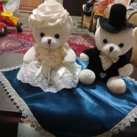 ۲ عدد عروسک به قیمت ۵۰۰