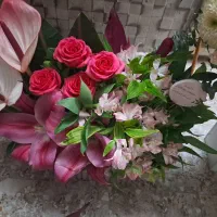 گل رز و لیلیوم فروشی|گل و گیاه طبیعی|آران و بیدگل, |دیوار