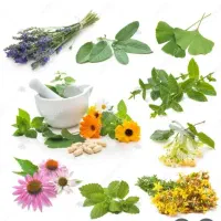 استخدام ،آموزش و درمان از طریق طب سنتی