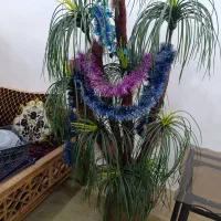 درختچه