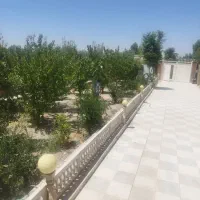 باغ آماده کفتر آباد محل شیدون مجموعه باغی قدیمی|فروش خانه و ویلا|اصفهان, اشکاوند|دیوار