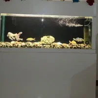 فروش آکواریم بزرگ چند کاره با تجهیزات