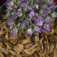 خلال به خشک|خوردنی و آشامیدنی|شیراز, دکتر حسابی|دیوار
