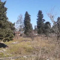 زمین تاپ لوکیشن