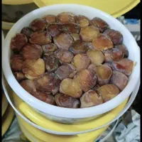 خرما فروشی