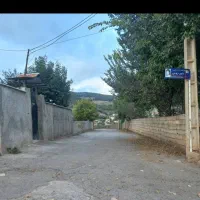 زمین