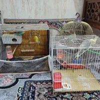سه عدد قفس در حد نو بدون پرنده ها ولوازم