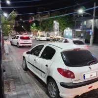 206  مدل 82|خودرو سواری و وانت|تهران, شاهین|دیوار