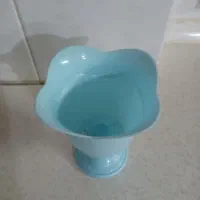 گلدان پلاستیکی|گل و گیاه طبیعی|اصفهان, طاحونه|دیوار