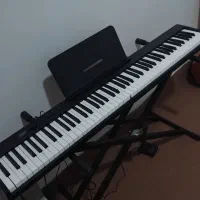 پیانو تاشو|پیانو، کیبورد، آکاردئون|مشهد, شهید آوینی|دیوار