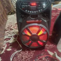 اسپیکر در حد باند بفروش میرسد