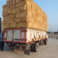 کاه سفال خوزستان کاه نرم کیسه گرفته