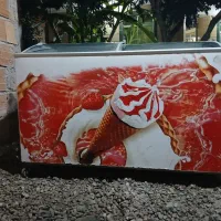 یخچال  فریزر بستنی صندوقی